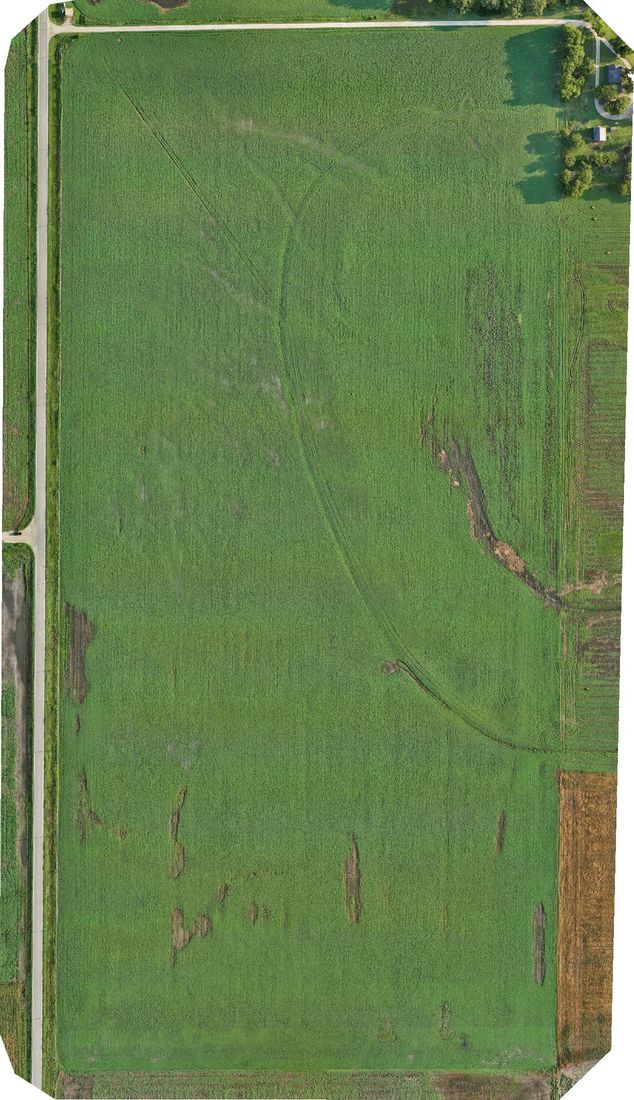 Aerial orthomosaic of a Kansas crop field